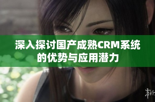 深入探讨国产成熟CRM系统的优势与应用潜力