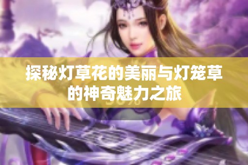 探秘灯草花的美丽与灯笼草的神奇魅力之旅