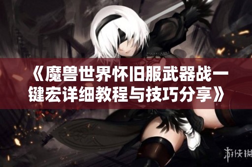 《魔兽世界怀旧服武器战一键宏详细教程与技巧分享》