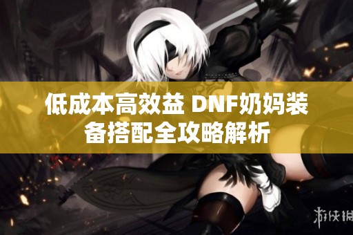 低成本高效益 DNF奶妈装备搭配全攻略解析