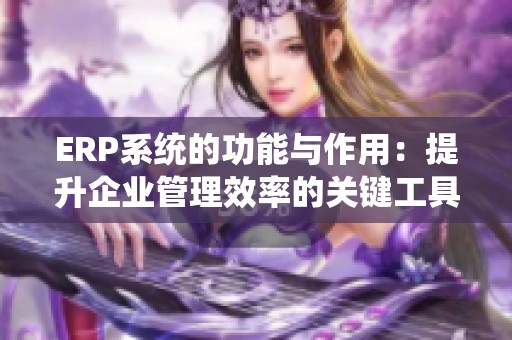 ERP系统的功能与作用：提升企业管理效率的关键工具