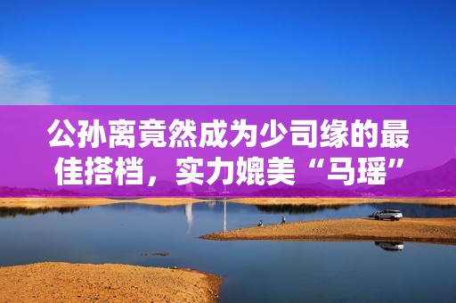 公孙离竟然成为少司缘的最佳搭档，实力媲美“马瑶”组合！