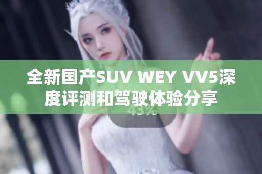 全新国产SUV WEY VV5深度评测和驾驶体验分享