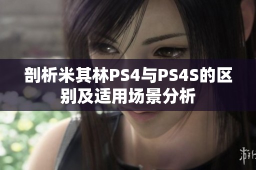 剖析米其林PS4与PS4S的区别及适用场景分析