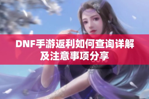 DNF手游返利如何查询详解及注意事项分享