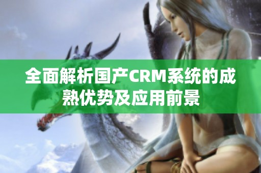 全面解析国产CRM系统的成熟优势及应用前景