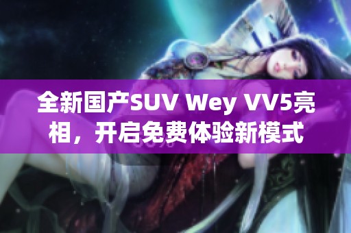 全新国产SUV Wey VV5亮相，开启免费体验新模式