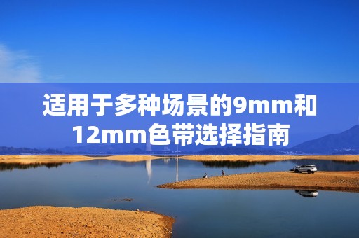 适用于多种场景的9mm和12mm色带选择指南