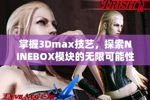 掌握3Dmax技艺，探索NINEBOX模块的无限可能性