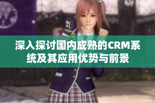 深入探讨国内成熟的CRM系统及其应用优势与前景