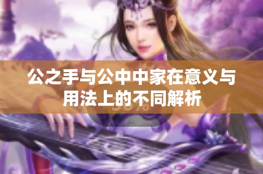 公之手与公中中家在意义与用法上的不同解析