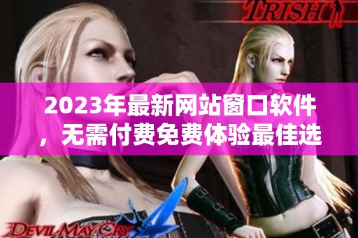 2023年最新网站窗口软件，无需付费免费体验最佳选择