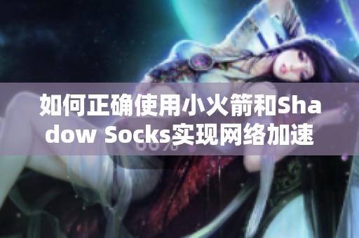 如何正确使用小火箭和Shadow Socks实现网络加速