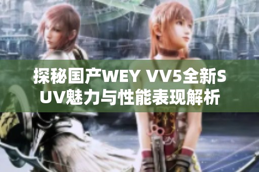 探秘国产WEY VV5全新SUV魅力与性能表现解析