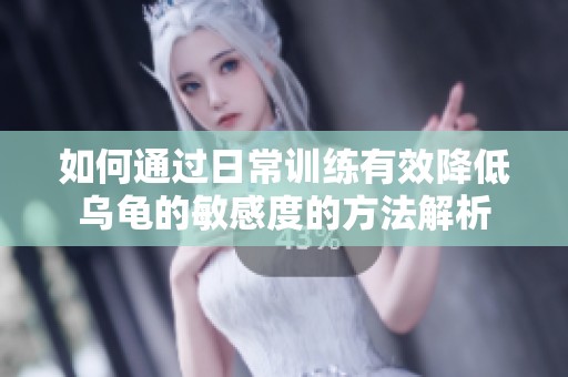 如何通过日常训练有效降低乌龟的敏感度的方法解析