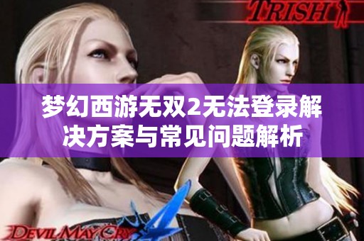 梦幻西游无双2无法登录解决方案与常见问题解析