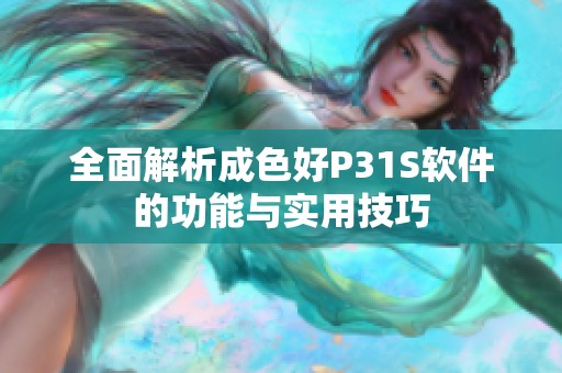 全面解析成色好P31S软件的功能与实用技巧