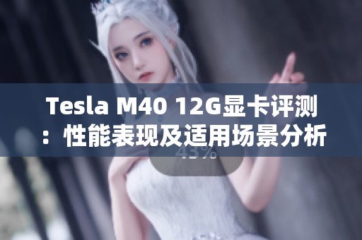 Tesla M40 12G显卡评测：性能表现及适用场景分析