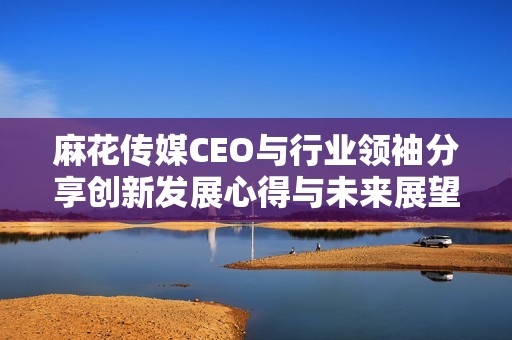 麻花传媒CEO与行业领袖分享创新发展心得与未来展望