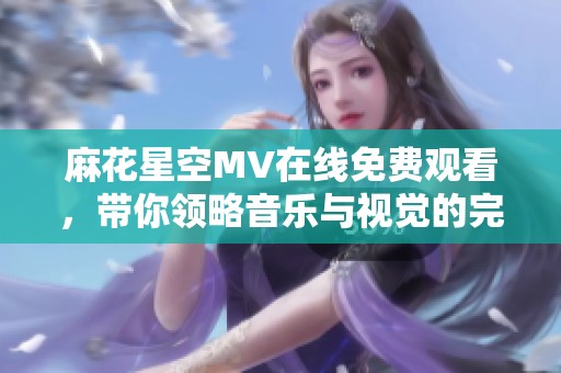 麻花星空MV在线免费观看，带你领略音乐与视觉的完美结合