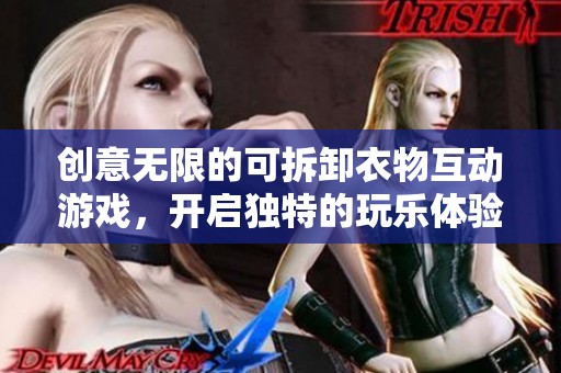 创意无限的可拆卸衣物互动游戏，开启独特的玩乐体验