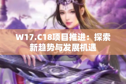 W17.C18项目推进：探索新趋势与发展机遇