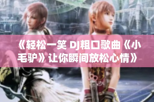 《轻松一笑 DJ粗口歌曲《小毛驴》让你瞬间放松心情》