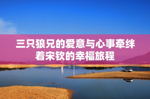 三只狼兄的爱意与心事牵绊着宋钦的幸福旅程