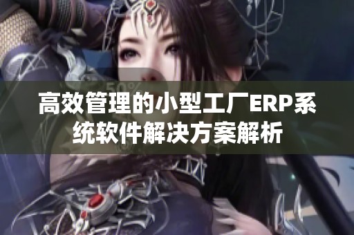 高效管理的小型工厂ERP系统软件解决方案解析