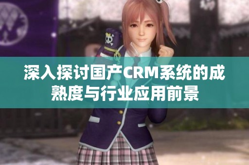 深入探讨国产CRM系统的成熟度与行业应用前景