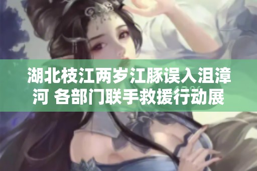 湖北枝江两岁江豚误入沮漳河 各部门联手救援行动展开