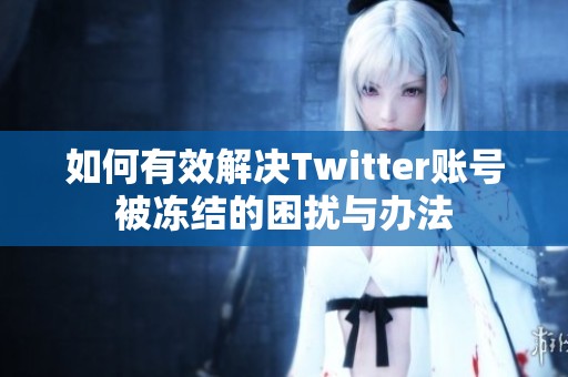 如何有效解决Twitter账号被冻结的困扰与办法