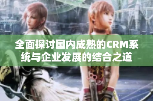 全面探讨国内成熟的CRM系统与企业发展的结合之道