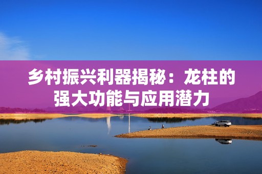 乡村振兴利器揭秘：龙柱的强大功能与应用潜力