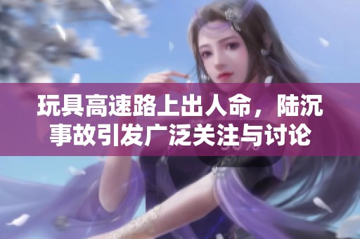 玩具高速路上出人命，陆沉事故引发广泛关注与讨论