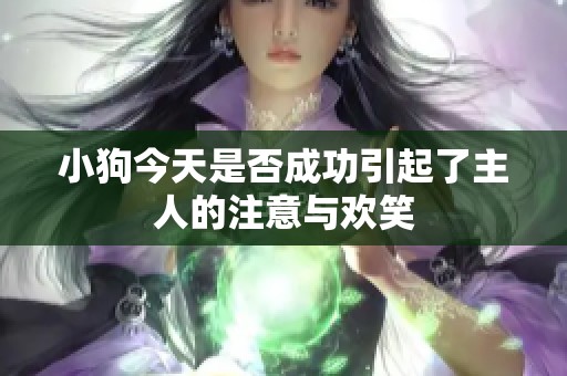 小狗今天是否成功引起了主人的注意与欢笑