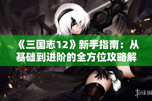 《三国志12》新手指南：从基础到进阶的全方位攻略解析