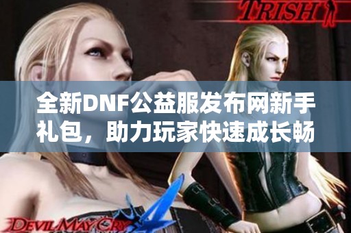 全新DNF公益服发布网新手礼包，助力玩家快速成长畅享游戏乐趣
