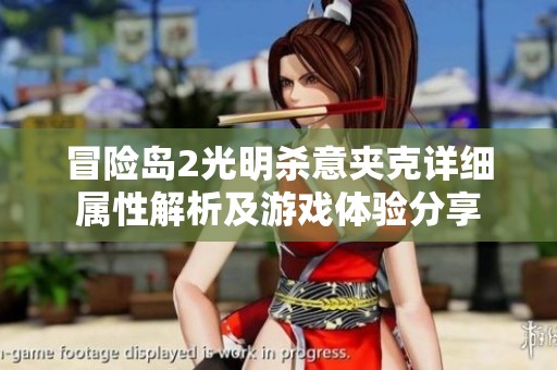 冒险岛2光明杀意夹克详细属性解析及游戏体验分享