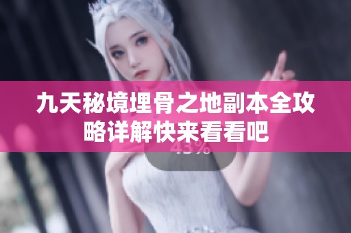 九天秘境埋骨之地副本全攻略详解快来看看吧