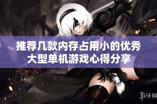 推荐几款内存占用小的优秀大型单机游戏心得分享