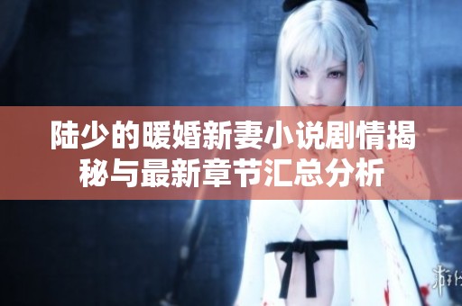 陆少的暖婚新妻小说剧情揭秘与最新章节汇总分析